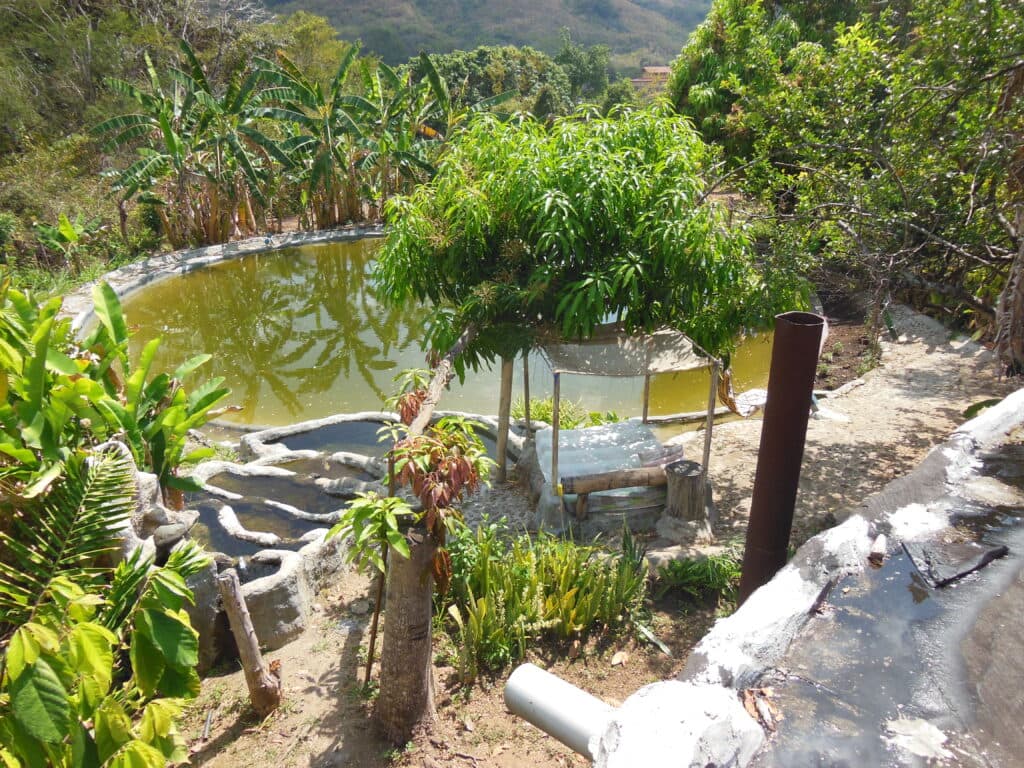 Garten und Pool am Grundstück in Venezuela